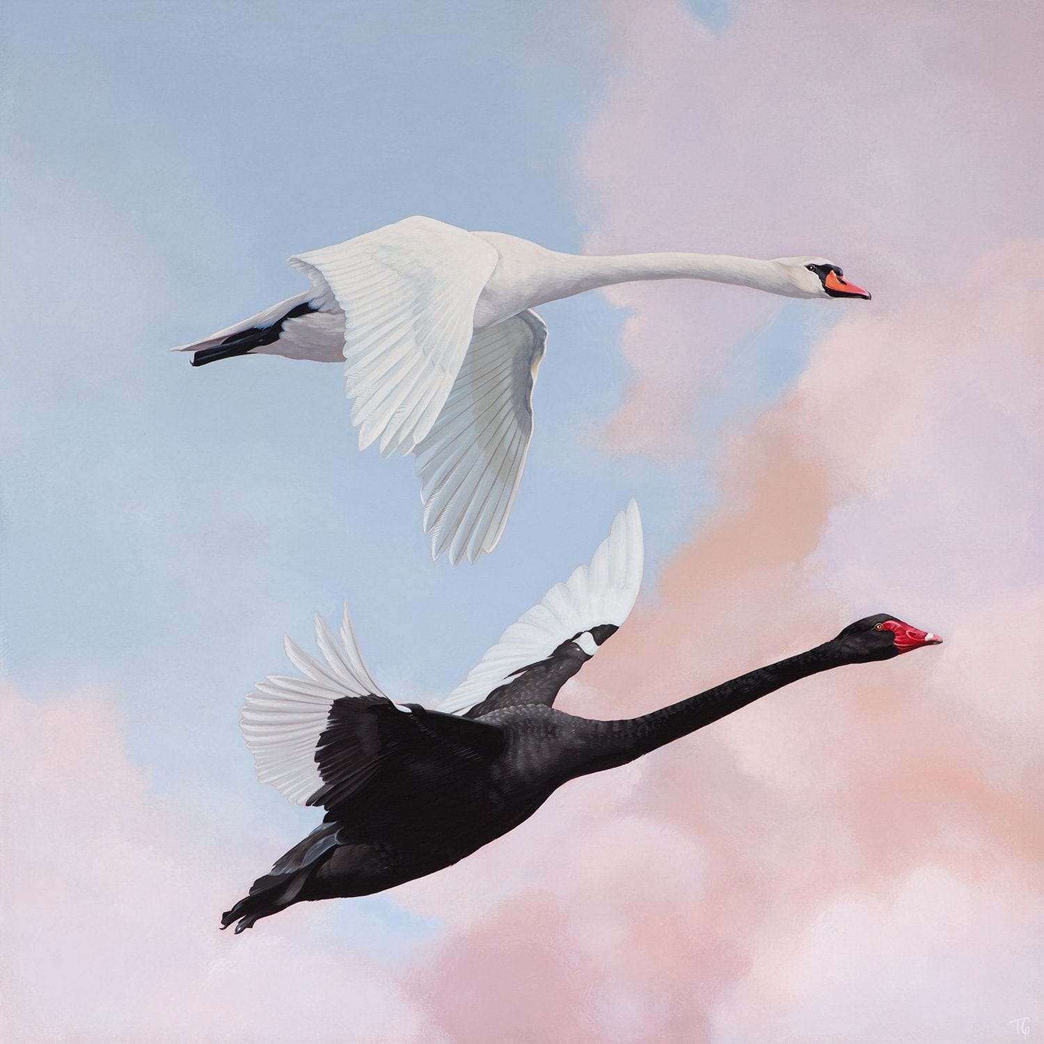 You're The Yin To My Yang - Limited Edition Print