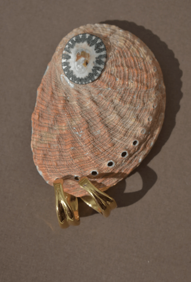 Elm Earrings