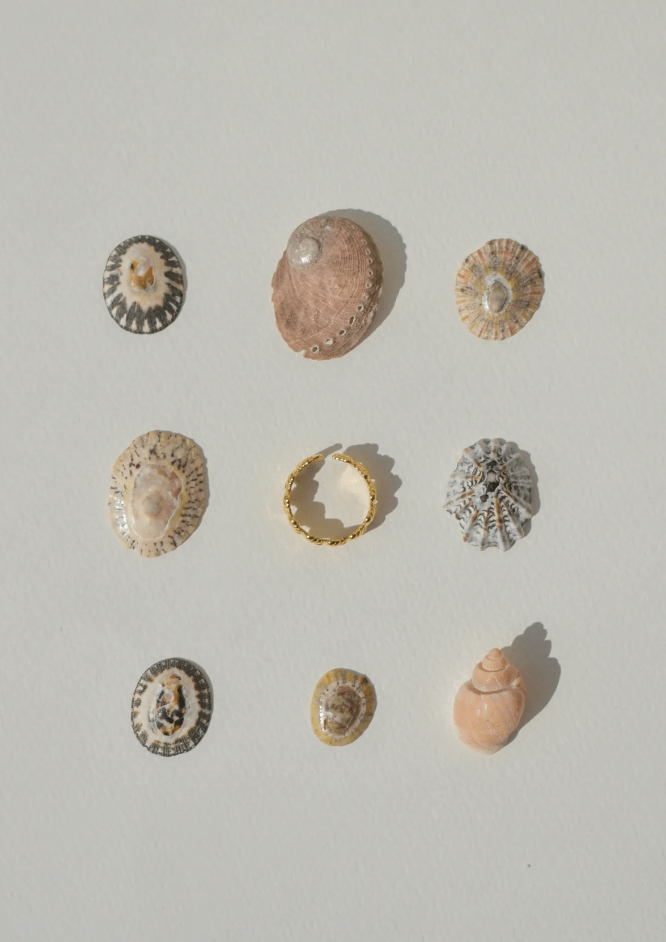 Amelia Ring
