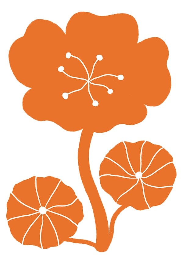 Nasturtium - Print