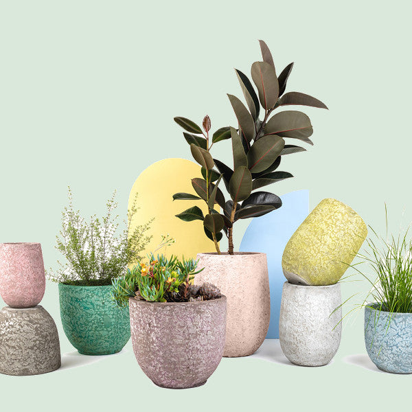 Gifts Under $200