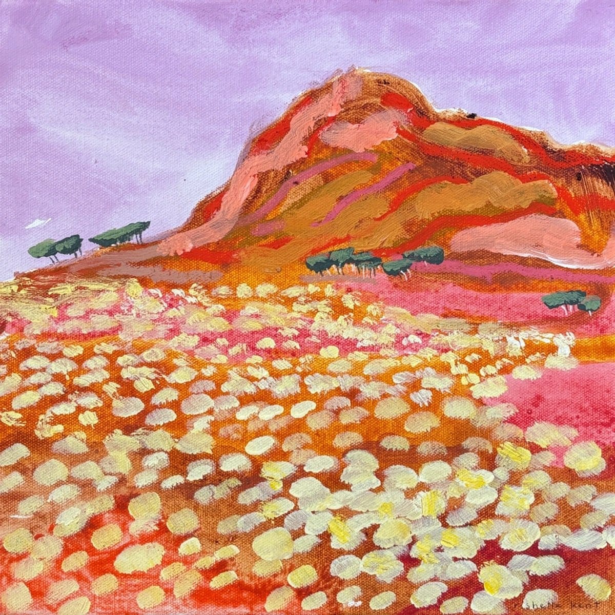 Spinifex At Dusk: West Macdonnells - Original Artwork
