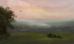 Afternoon Warmth - Original Art
