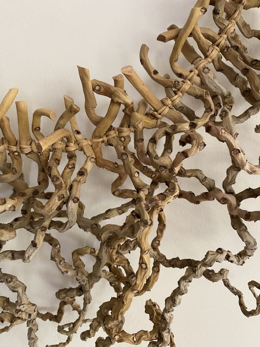 Palm Inflorescence Wall Hanging