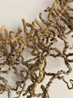 Palm Inflorescence Wall Hanging