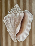 Caramel Stripe Conch-Original Art-Aleisha Hobson-Greenhouse Interiors Pty Ltd
