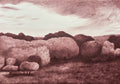 Guyong Field - Original Art-Original Art-Chanel Sohier-Greenhouse Interiors Pty Ltd