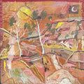 Ormiston Gorge Calling   - Original Artwork