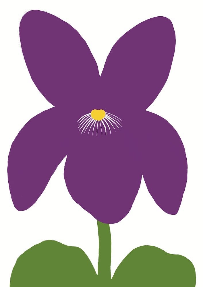 Violet - Open Edition Print