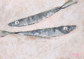Pilchard Pair -  Original Painting-Original Art-Marcia Priestley-Greenhouse Interiors Pty Ltd