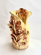 Lemon Slice - Sculptural Vase-Ceramics-Lauren Barton-Greenhouse Interiors Pty Ltd