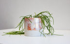 Ceramic Planter - Marshmallow