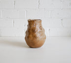 Banksia 3