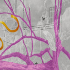 The Peacock - Limited Edition Print-Prints-Steve Moors-Greenhouse Interiors Pty Ltd