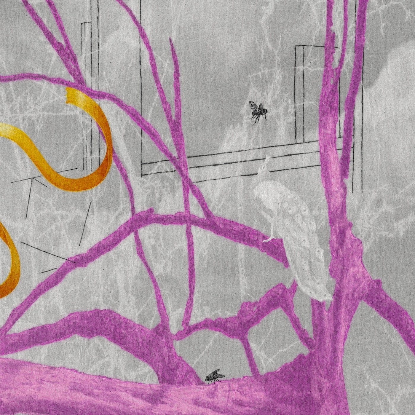 The Peacock - Limited Edition Print-Prints-Steve Moors-Greenhouse Interiors Pty Ltd