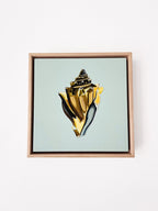 Shell Study Six - Original Painting-Original Art-Kate Jarman-Greenhouse Interiors Pty Ltd