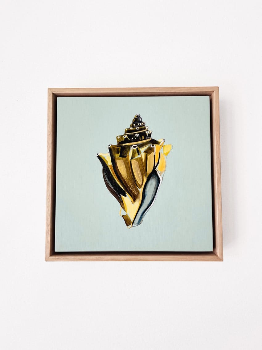 Shell Study Six - Original Painting-Original Art-Kate Jarman-Greenhouse Interiors Pty Ltd