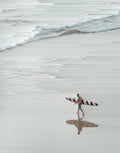 Reflected Love - Limited Edition Print-Prints-Erin Masters-Greenhouse Interiors Pty Ltd