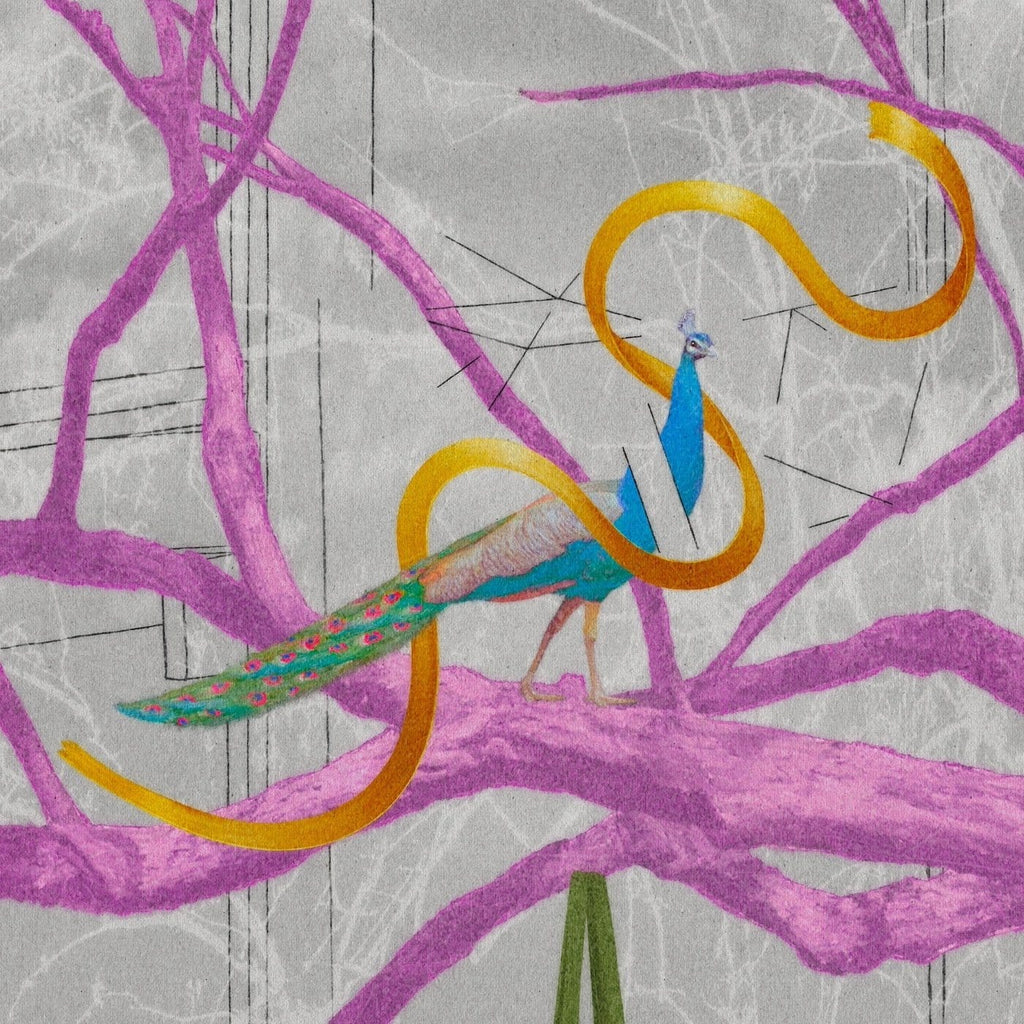 The Peacock - Limited Edition Print-Prints-Steve Moors-Greenhouse Interiors Pty Ltd