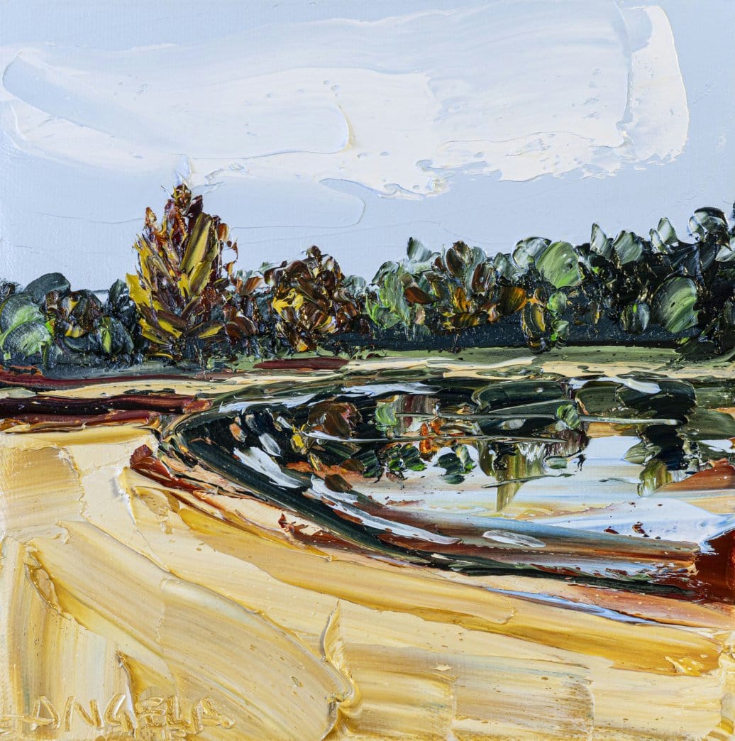 Lake Canobolas 2 - Original Art