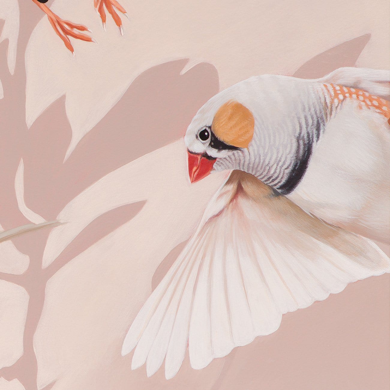 You're The Fanciest Finch I Know - Original Art