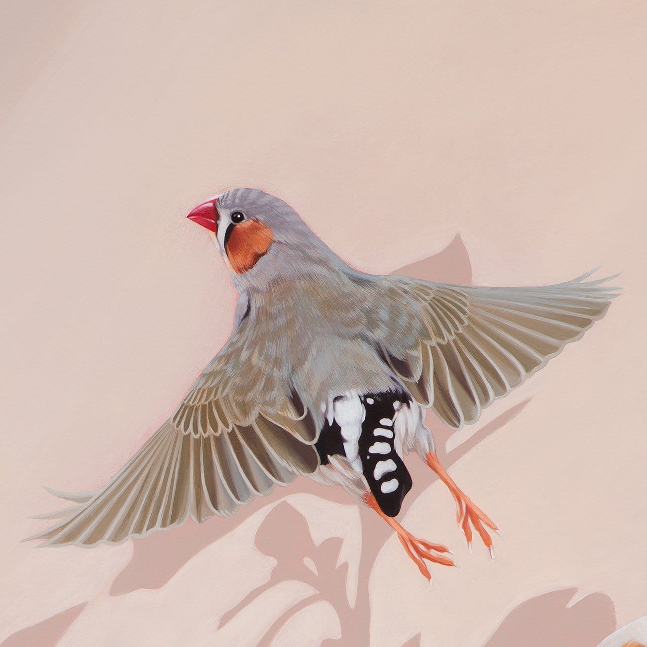 You're The Fanciest Finch I Know - Original Art