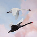 You're The Yin To My Yang - Limited Edition Print