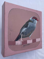 Wild And Free, Finch - Original Art-Original Art-Tania Lucas-Greenhouse Interiors Pty Ltd