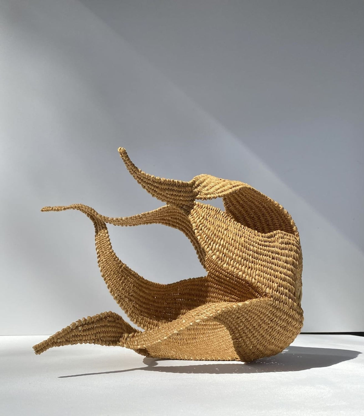 Seed Pod Sculpture
