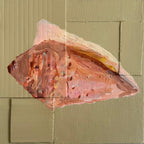 Cone Shell 01 - Original Art