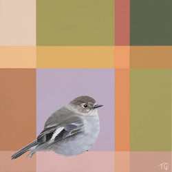 The Radiant Robin - Original rt-Original Art-Teneille Grace-Greenhouse Interiors Pty Ltd
