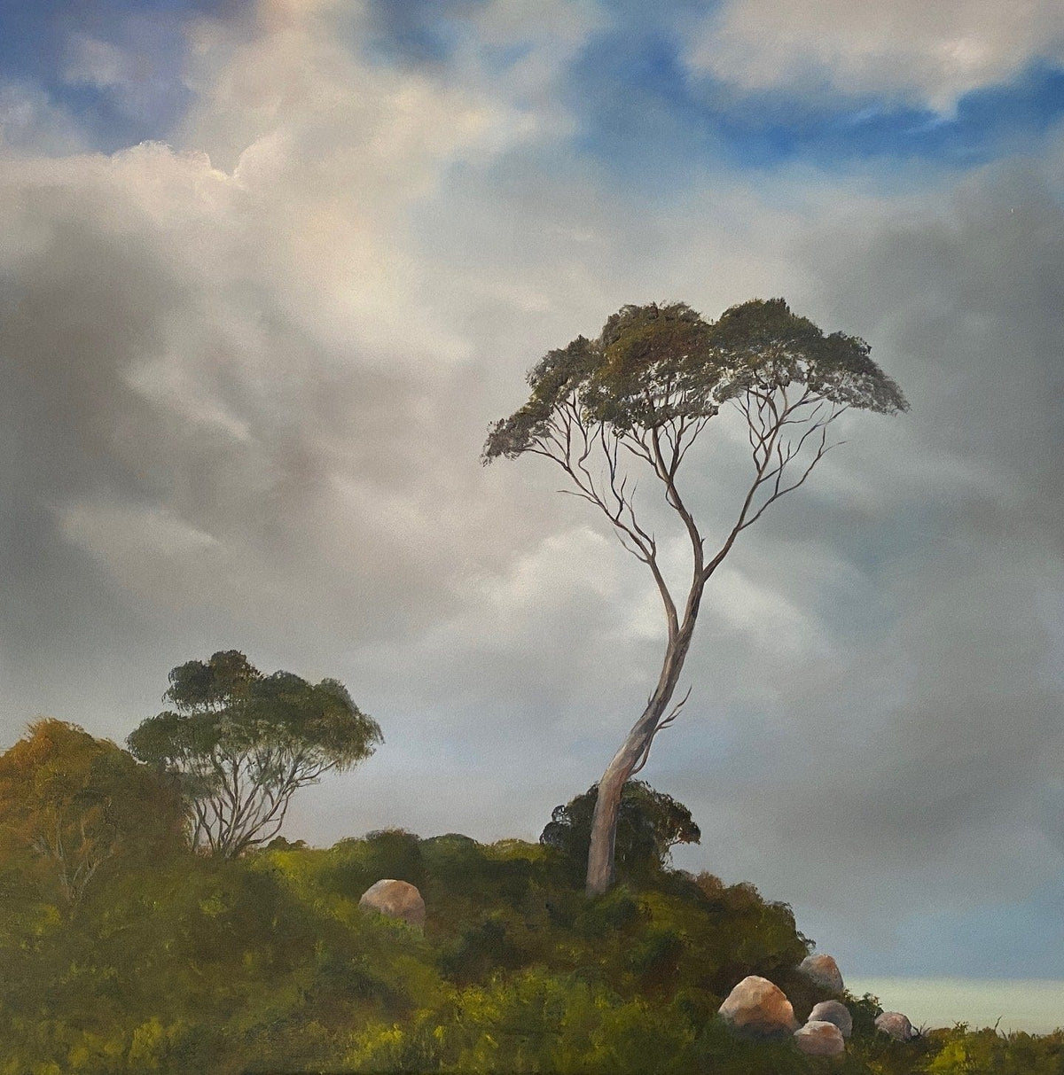 Bay Of Fires In June - Original Art