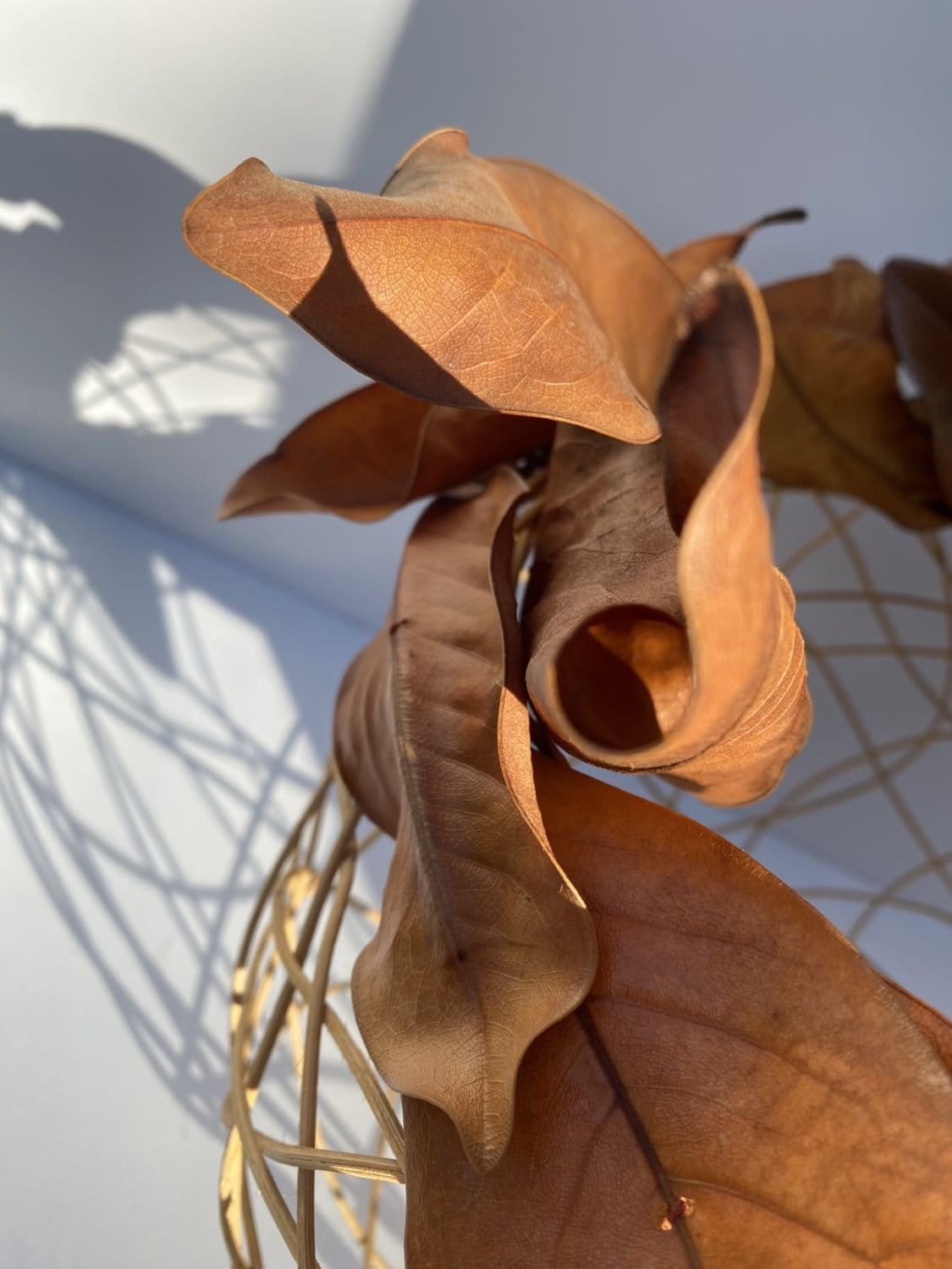 Woven Bowl With Magnolia Leaves