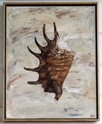 Chocolate Spider Conch - Original Art-Original Art-Aleisha Hobson-Greenhouse Interiors Pty Ltd