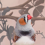 You're The Fanciest Finch I Know - Original Art