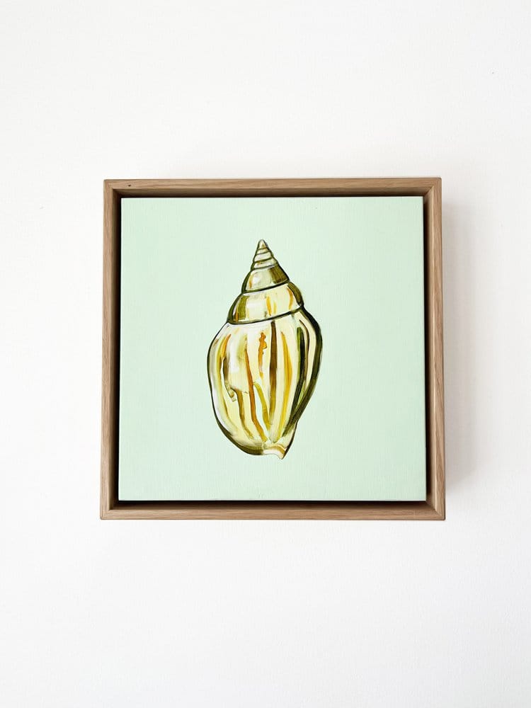 Shell Study One - Original Oil Painting-Original Art-Kate Jarman-Greenhouse Interiors Pty Ltd