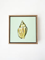 Shell Study One - Original Oil Painting-Original Art-Kate Jarman-Greenhouse Interiors Pty Ltd