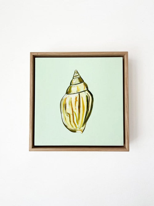 Shell Study One - Original Oil Painting-Original Art-Kate Jarman-Greenhouse Interiors Pty Ltd