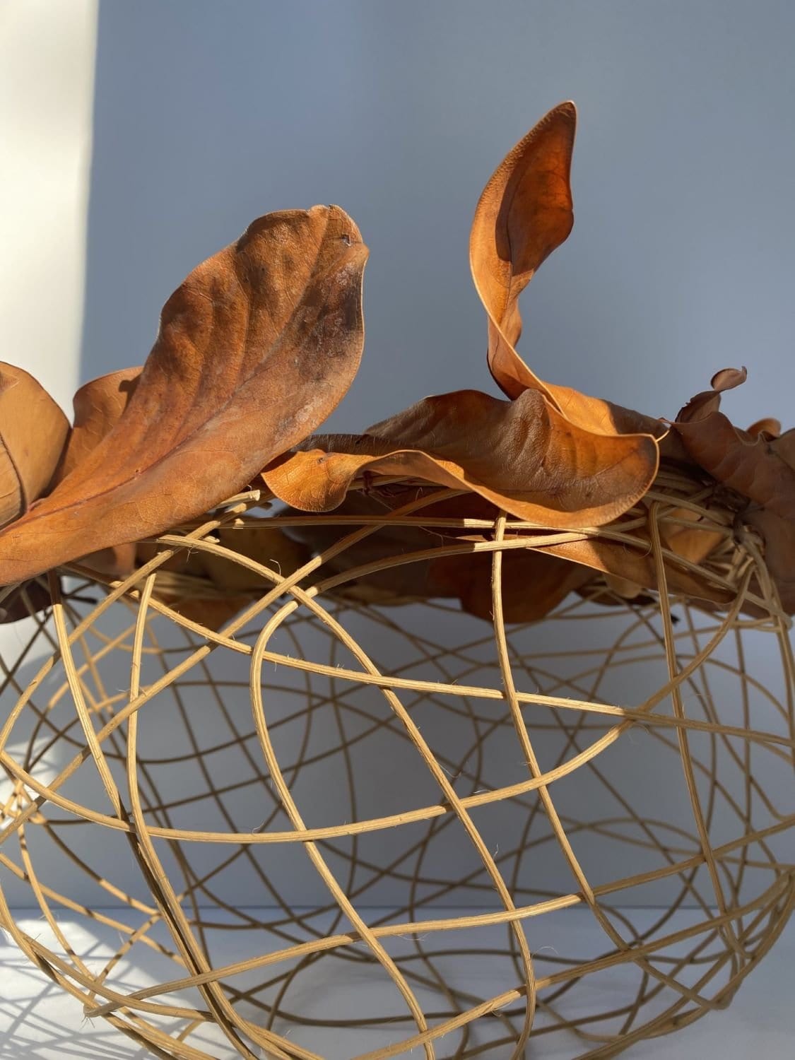 Woven Bowl With Magnolia Leaves