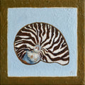 Caramel Stripe Conch - Original Art-Original Art-Aleisha Hobson-Greenhouse Interiors Pty Ltd