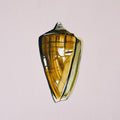 Shell Study Two - Original Oil Painting-Original Art-Kate Jarman-Greenhouse Interiors Pty Ltd