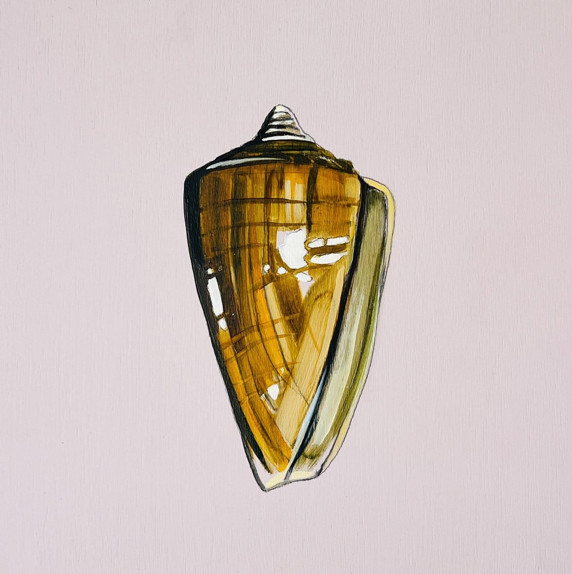 Shell Study Two - Original Oil Painting-Original Art-Kate Jarman-Greenhouse Interiors Pty Ltd