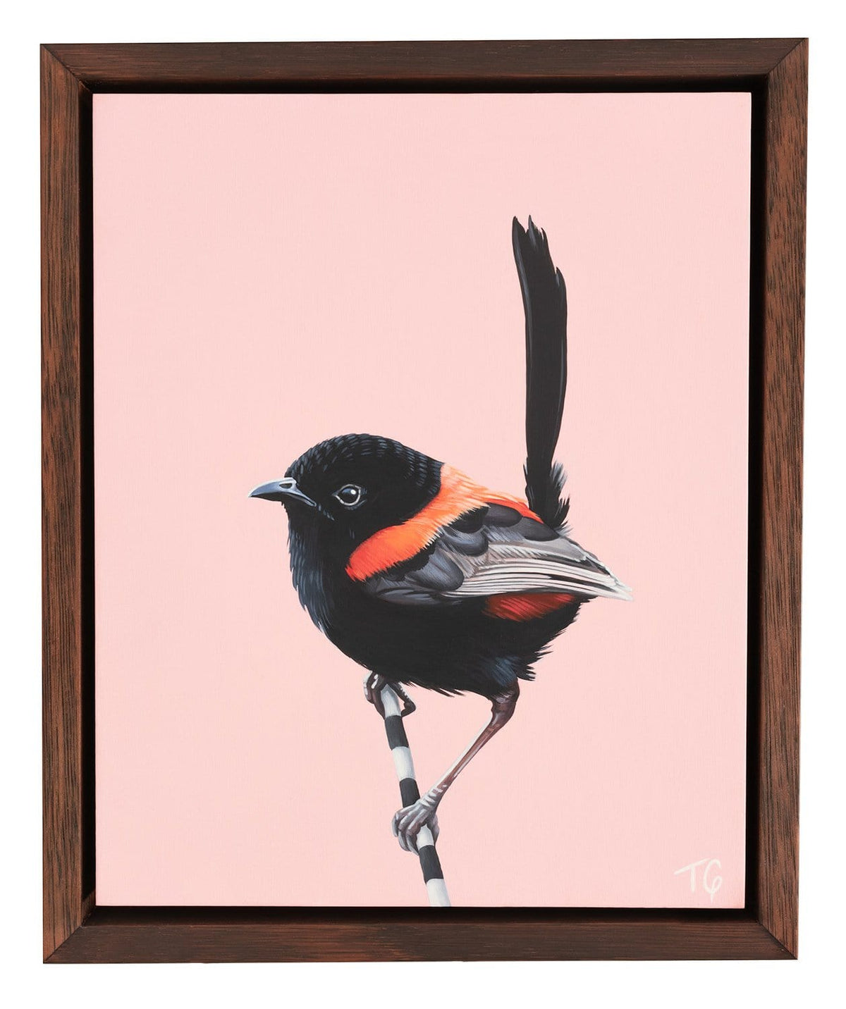 The Wren And His Jazzy, Red Waistcoat - Original Art