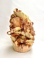 Lemon Slice - Sculptural Vase-Ceramics-Lauren Barton-Greenhouse Interiors Pty Ltd