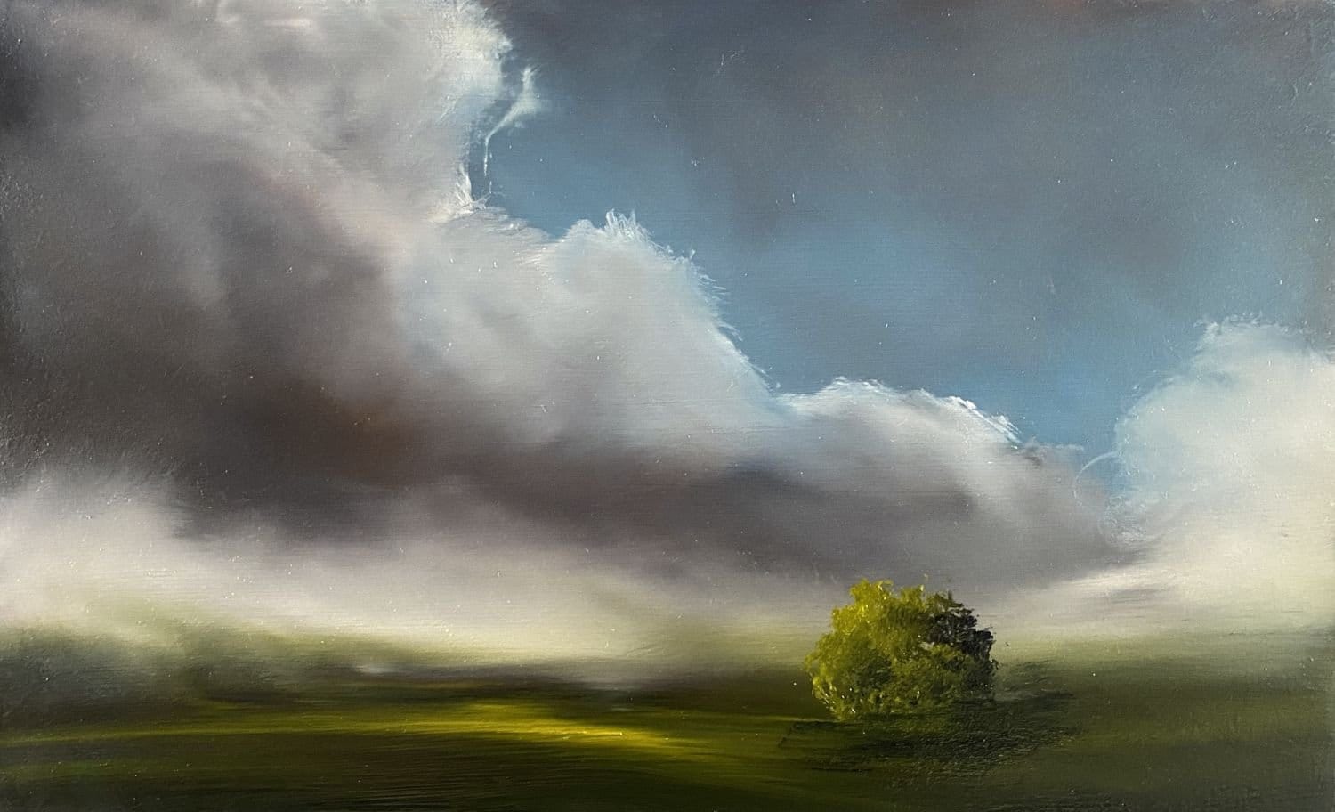 Flooded Plain - Original Art