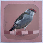 Wild And Free, Finch - Original Art-Original Art-Tania Lucas-Greenhouse Interiors Pty Ltd