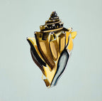 Shell Study Six - Original Painting-Original Art-Kate Jarman-Greenhouse Interiors Pty Ltd