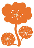 Nasturtium - Print