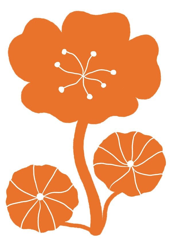 Nasturtium - Print