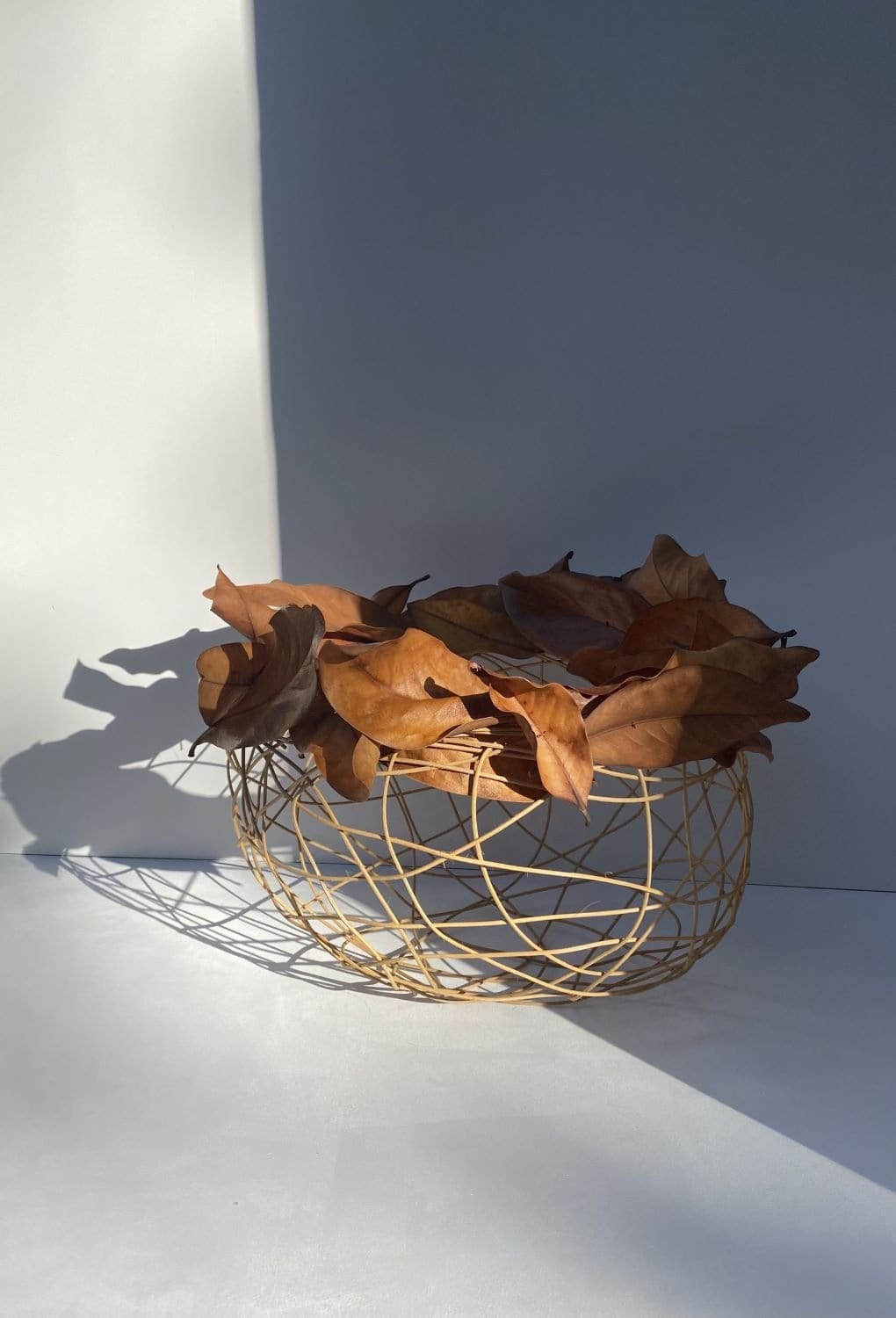 Woven Bowl With Magnolia Leaves